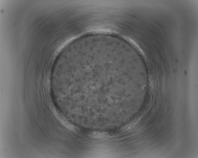 X0000084040487200703022153