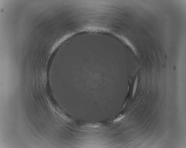 X0000084040488200703022153