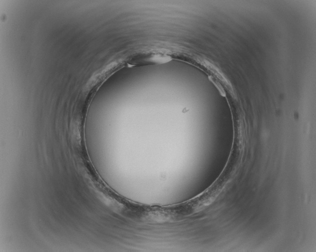 X0000084040489200703022152