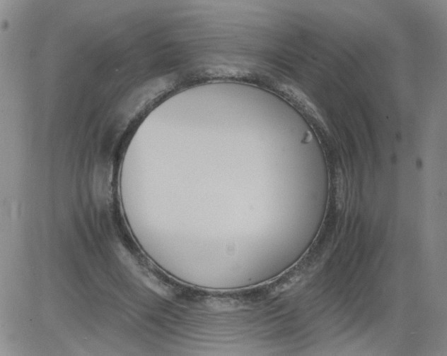 X0000084040490200703022152