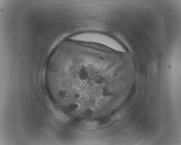 X0000084040491200703022152