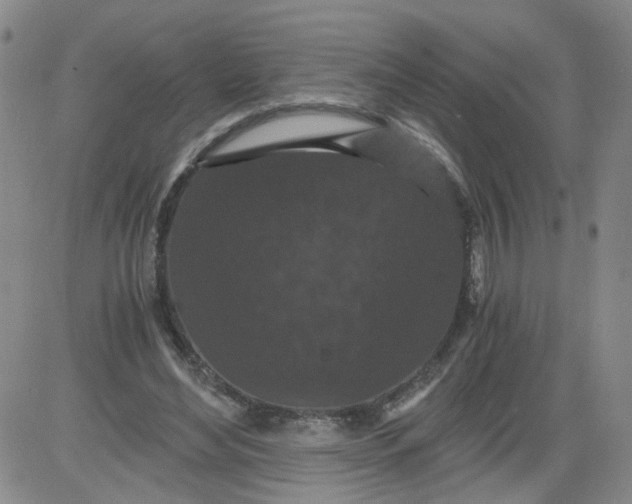 X0000084040492200703022152