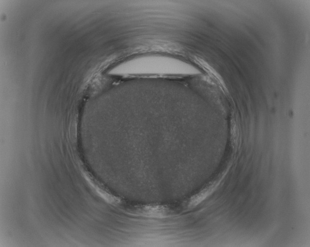 X0000084040493200703022152