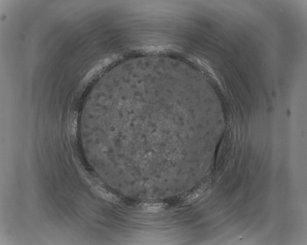 X0000084040495200703022152