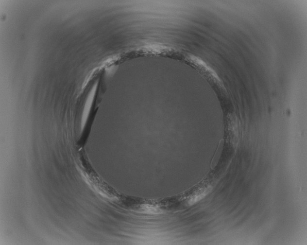 X0000084040496200703022152