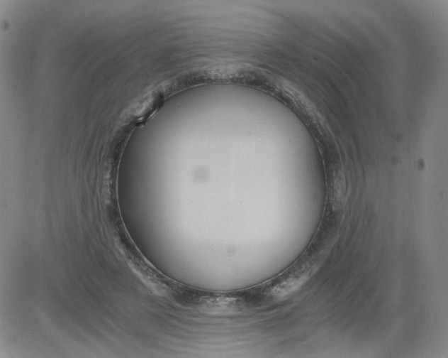 X0000084040497200703022152