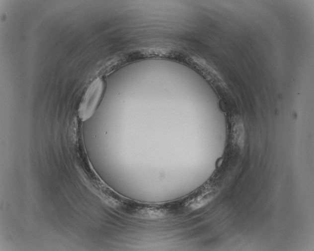 X0000084040498200703022152