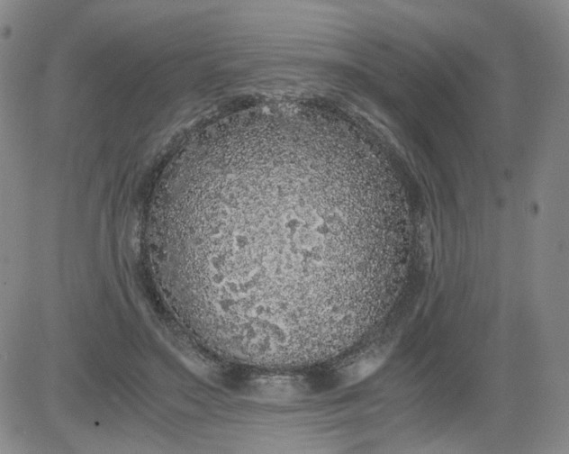 X0000084040499200703022152