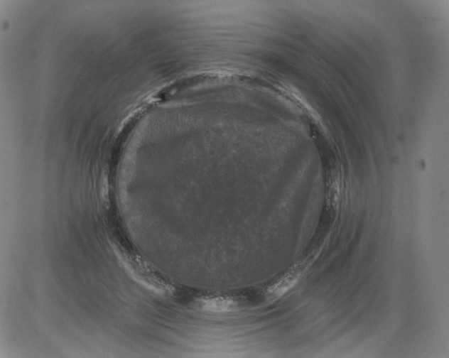 X0000084040500200703022152