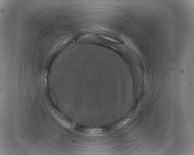 X0000084040501200703022152