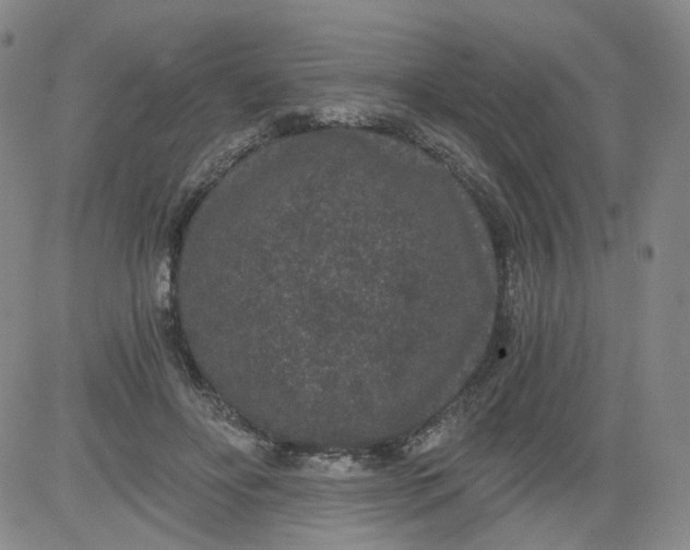 X0000084040502200703022152