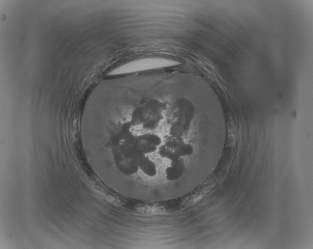 X0000084040503200703022152