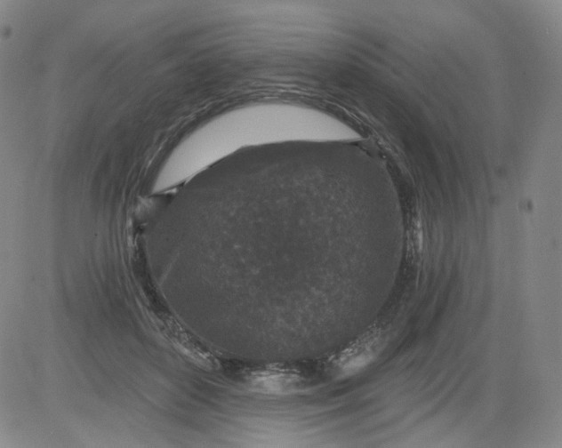 X0000084040504200703022152