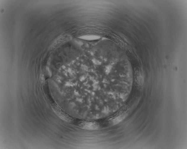 X0000084040507200703022152