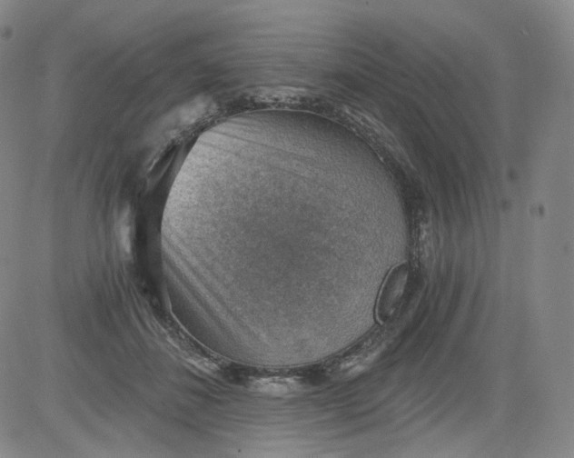 X0000084040508200703022152