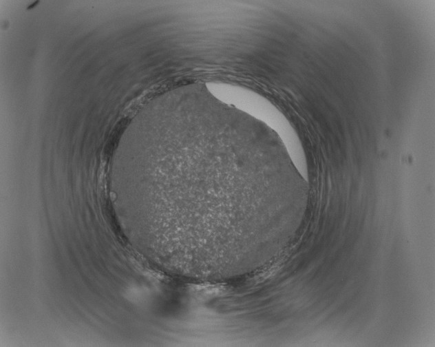 X0000084040511200703022152