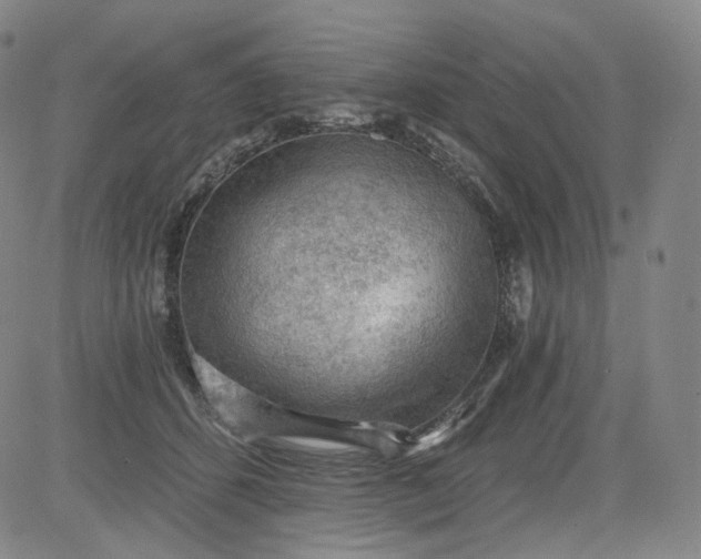 X0000084040512200703022152