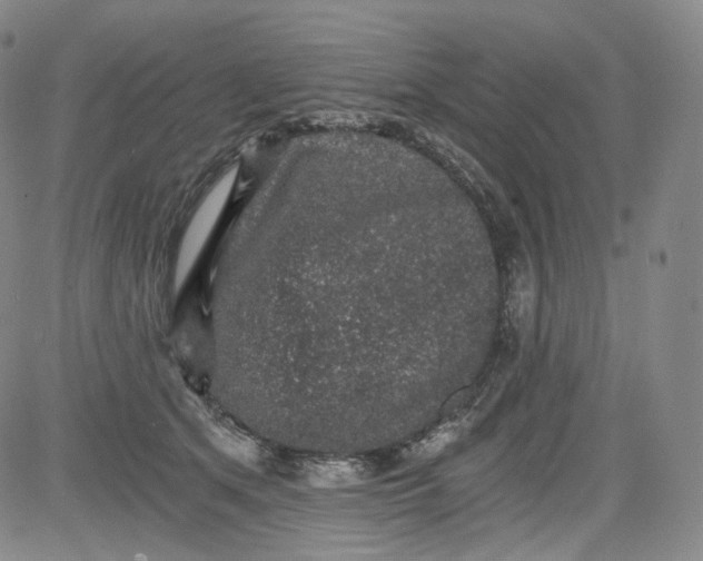 X0000084040513200703022152