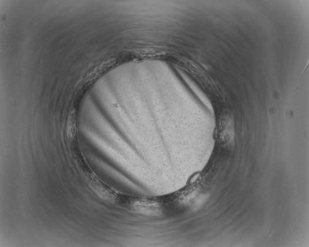 X0000084040515200703022152