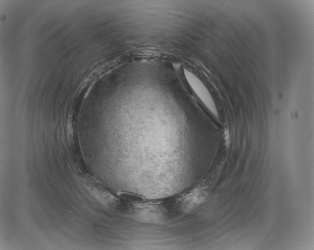 X0000084040516200703022152