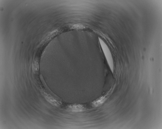 X0000084040517200703022152