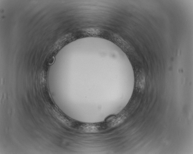 X0000084040518200703022152