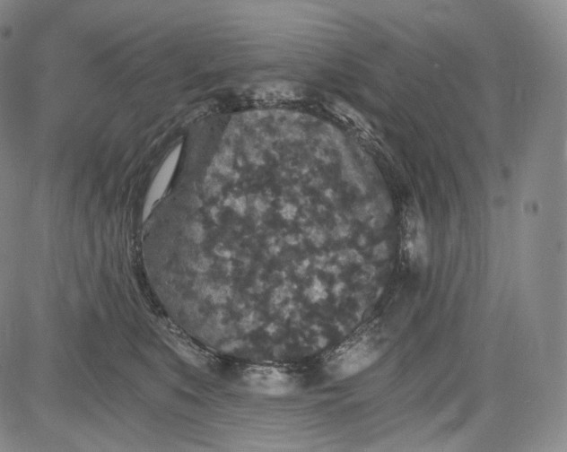 X0000084040519200703022152