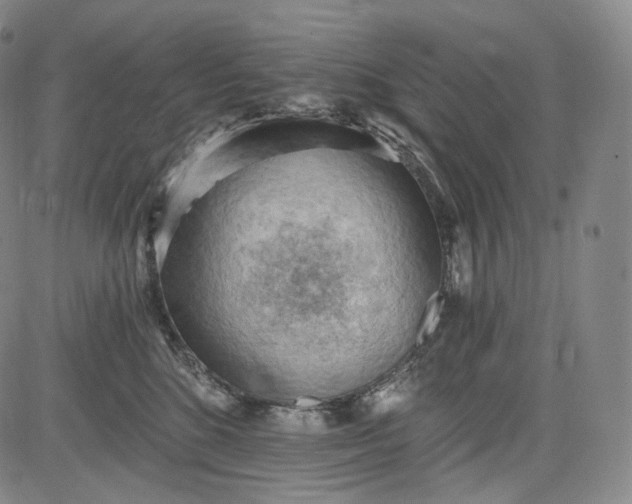 X0000084040520200703022152