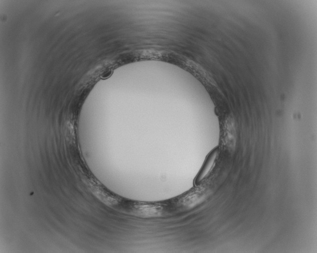 X0000084040522200703022152