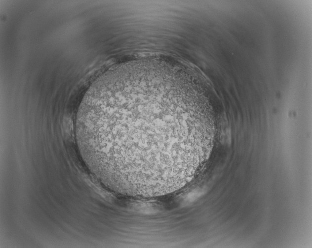 X0000084040523200703022152