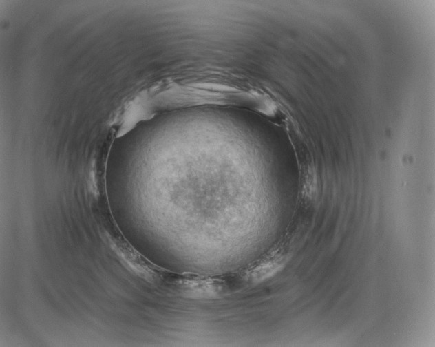 X0000084040524200703022152