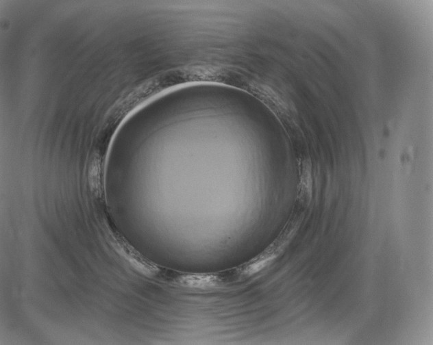 X0000084040526200703022152