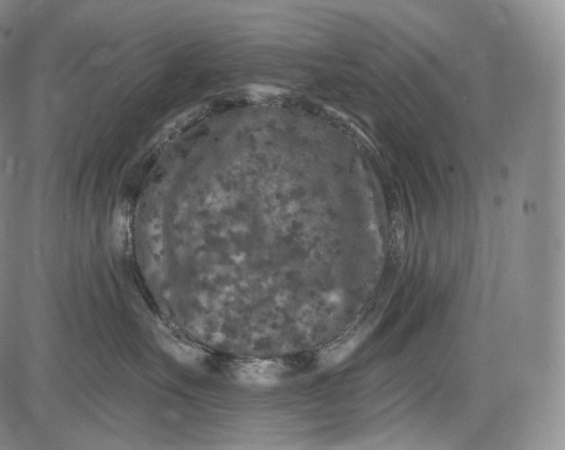 X0000084040527200703022152