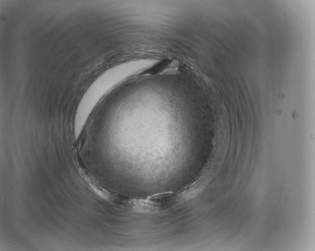 X0000084040528200703022152