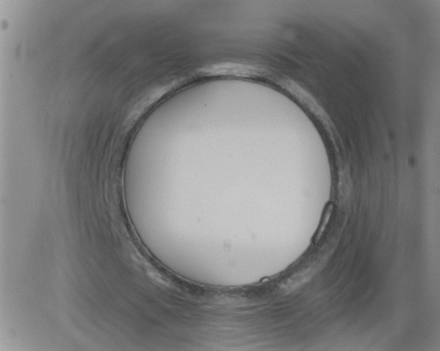 X0000084040529200703022151