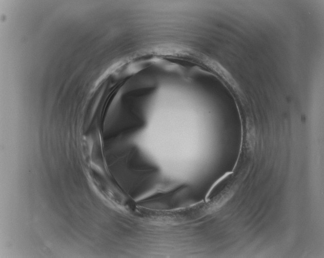 X0000084040530200703022151