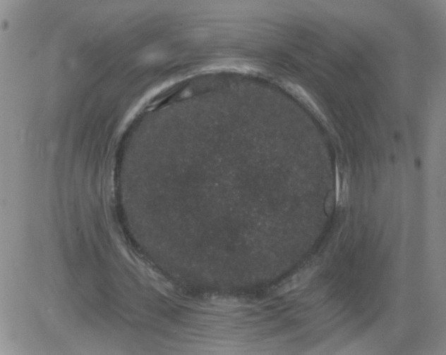 X0000084040531200703022151