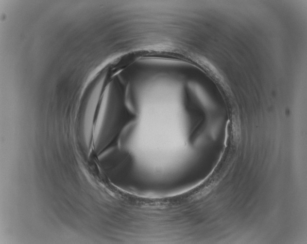 X0000084040532200703022151