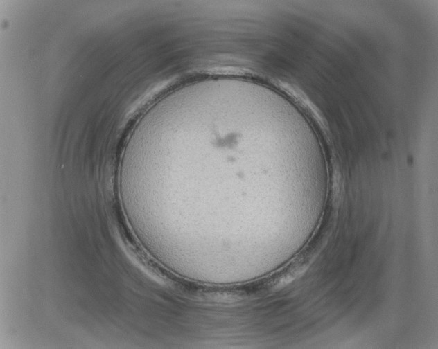 X0000084040533200703022151