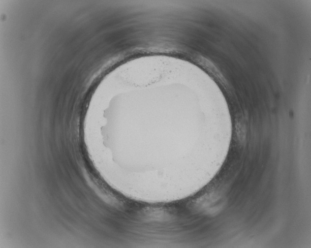 X0000084040534200703022151