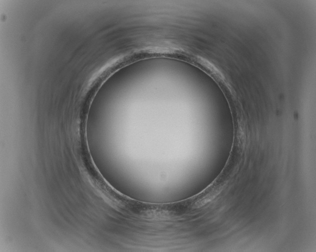 X0000084040535200703022151