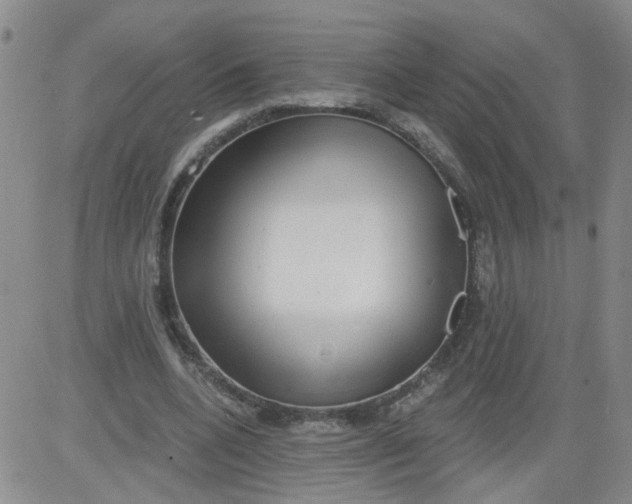 X0000084040536200703022151