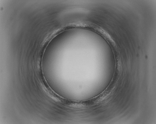 X0000084040537200703022151