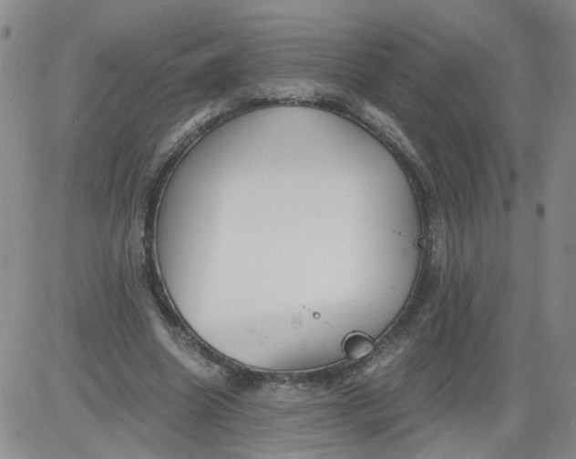 X0000084040538200703022151