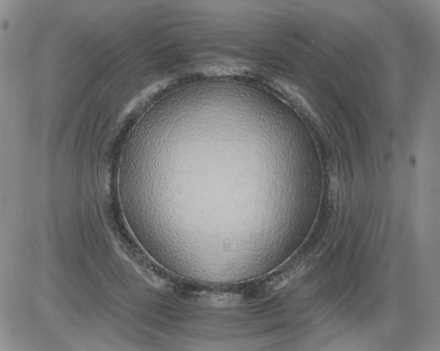 X0000084040539200703022151