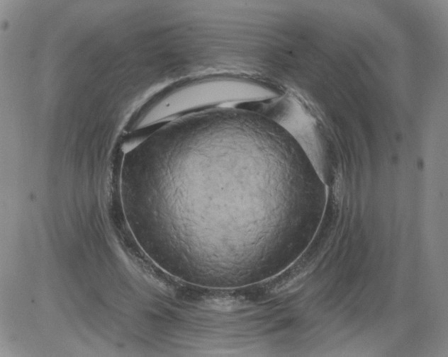 X0000084040540200703022151