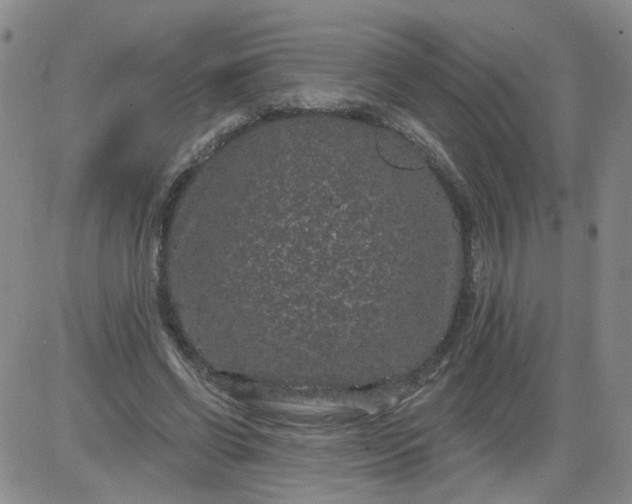 X0000084040542200703022151