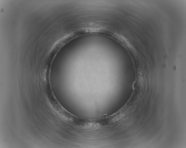 X0000084040543200703022151