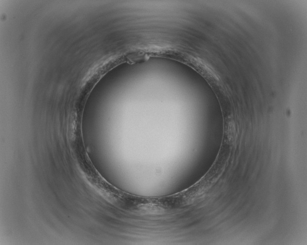 X0000084040544200703022151