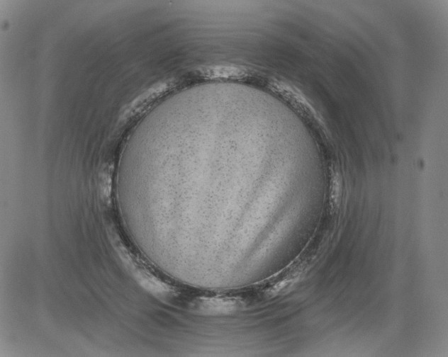 X0000084040545200703022151